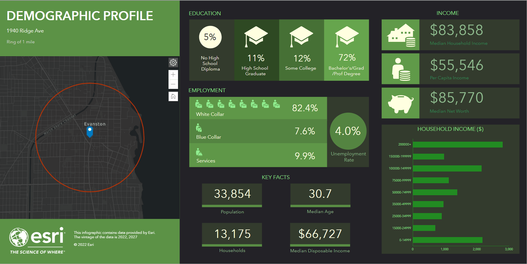 Demographic Profile infographic in Business Analyst