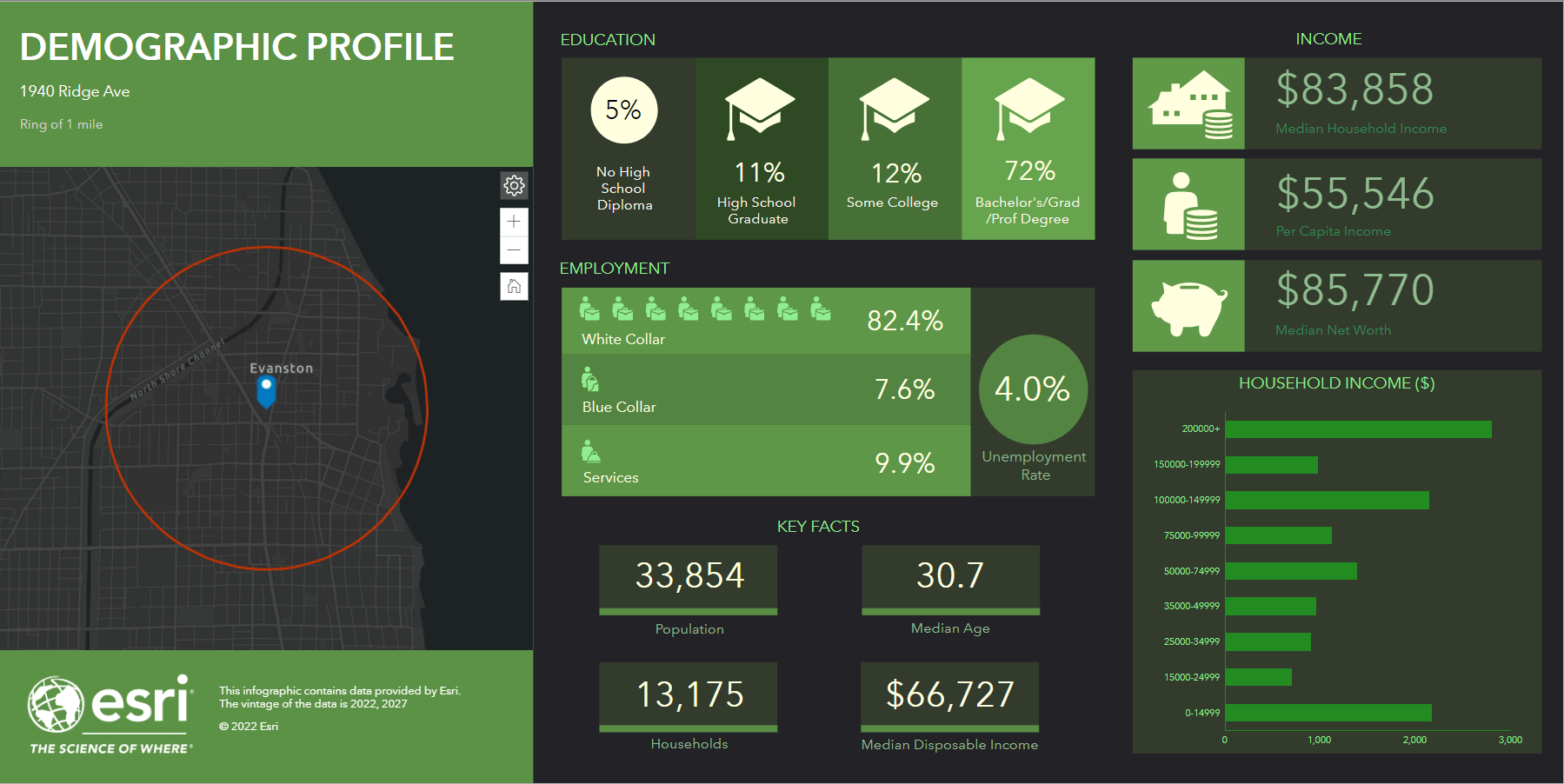 Demographic Profile infographic in Business Analyst Demographic Profile infographic in Business Analyst