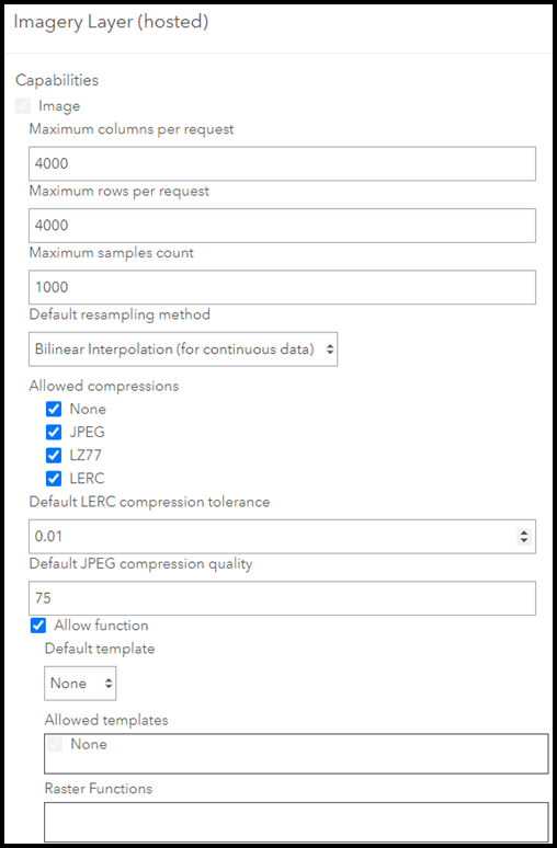 Dynamic imagery layer properties in Item Details page.