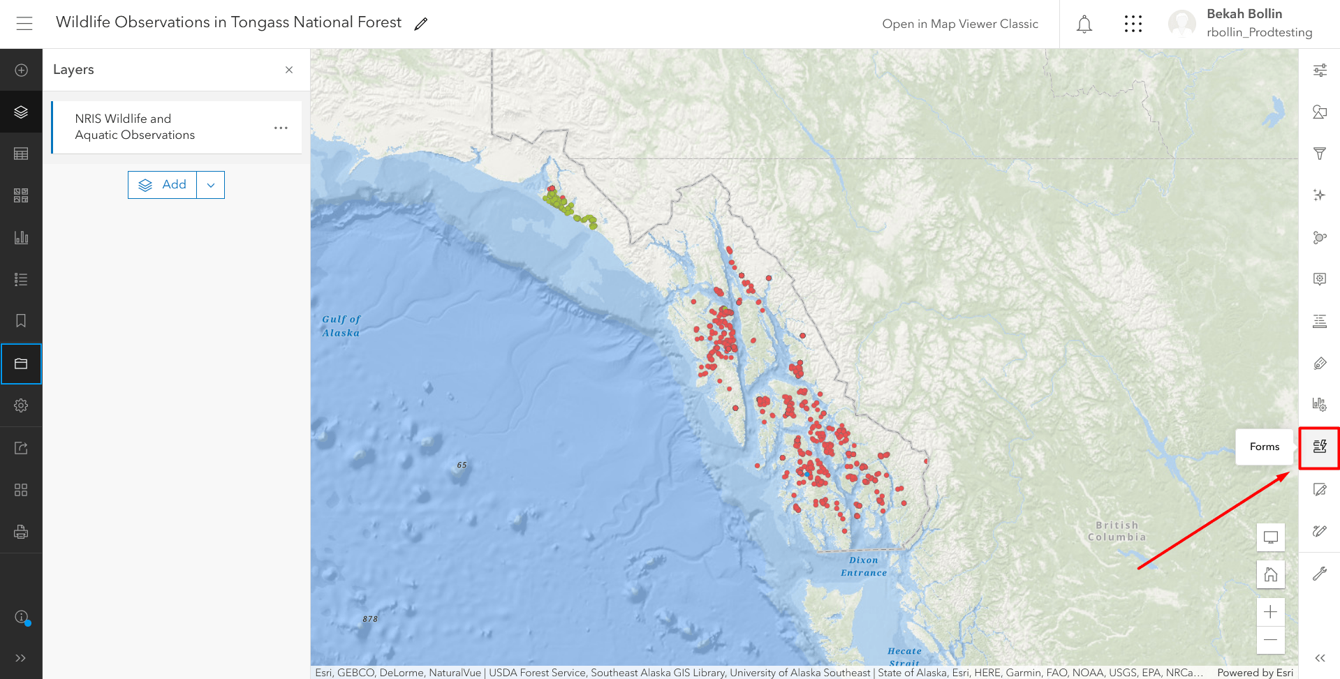 Forms button highlighted in the Map Viewer right hand panel