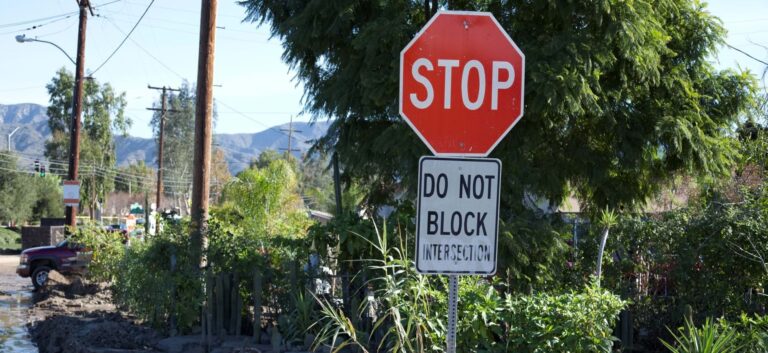 Stop and Do Not Block Intersection signs.