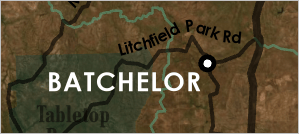 Batchelor label placed to the lower left of its point