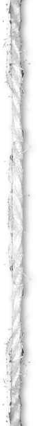 A thread PNG image, which can be used as a picture stroke in ArcGIS Pro. A thread PNG image, which can be used as a picture stroke in ArcGIS Pro.