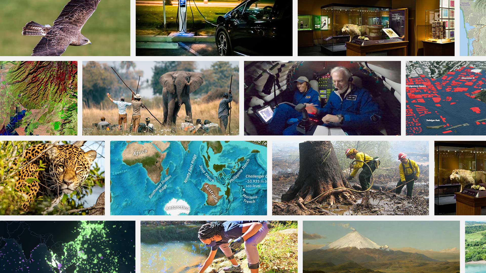 A collage of images from our favorite stories of 2022. A collage of images from our favorite stories of 2022.
