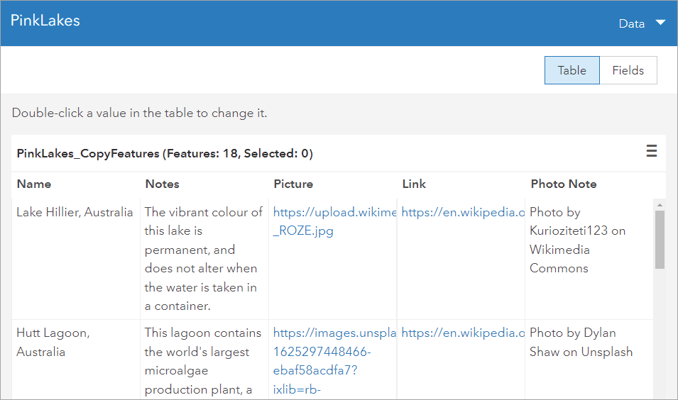 Feature layer table Feature layer table