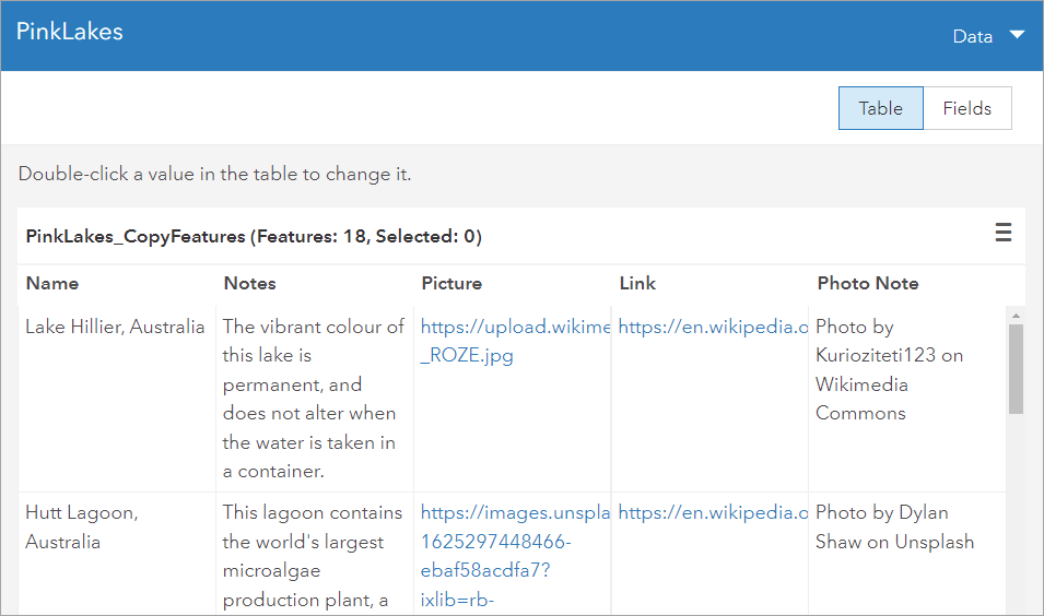 Feature layer table