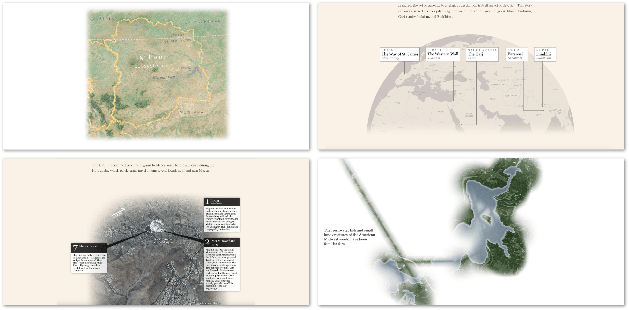 Image containing multiple screenshots of stories that feature prominent examples of the "blurring boundaries" technique. Image containing multiple screenshots of stories that feature prominent examples of the "blurring boundaries" technique.