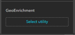 GeoEnrichment proxy setting