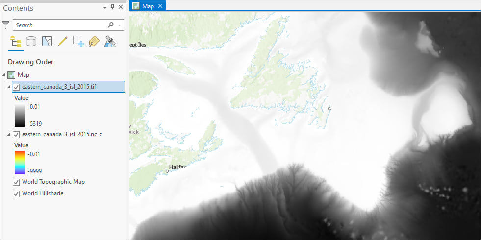 Bathymetry elevation in black and white