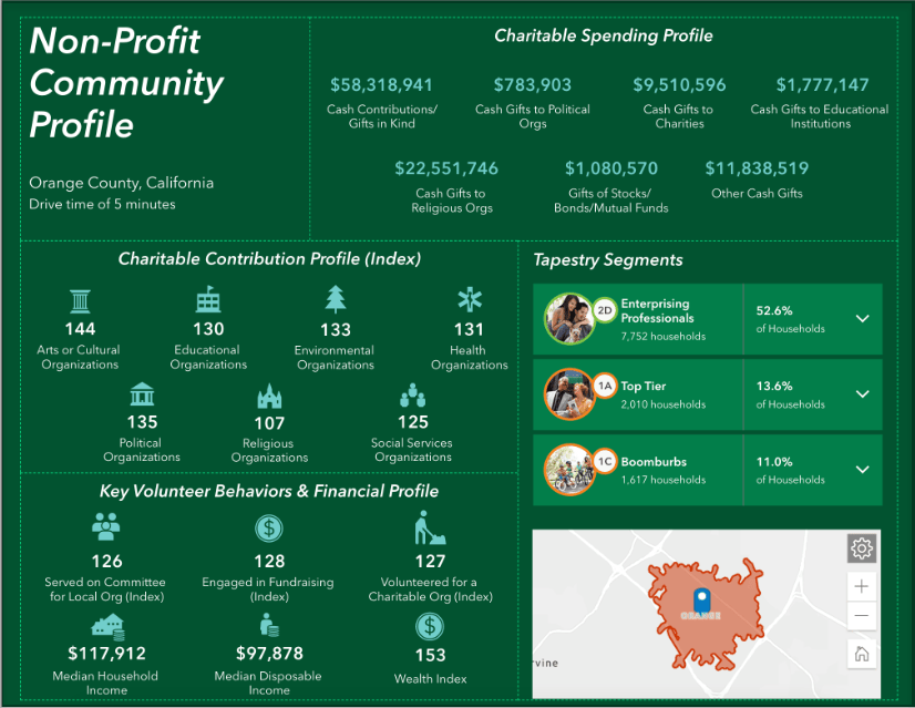 Non-Profit Community Profile infographic template