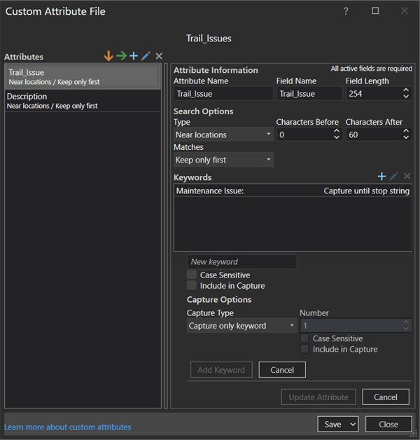 Custom Attribute File pane