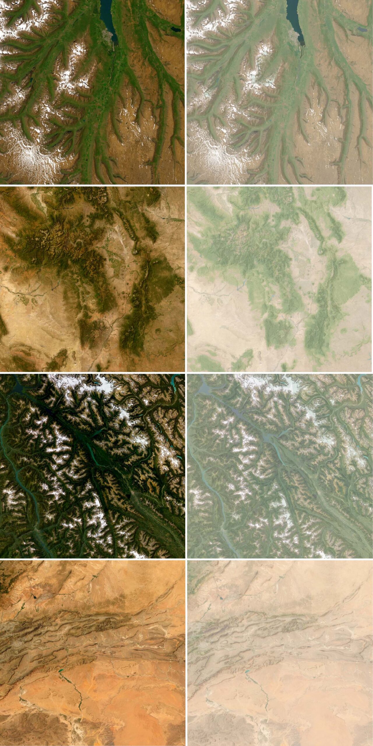 Eight maps showing before and after images of World Imagery and then with World Imagery and Topographic together.