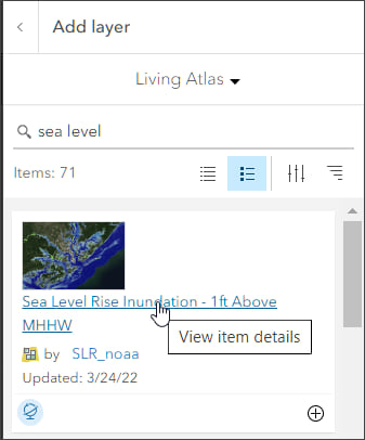 View item details