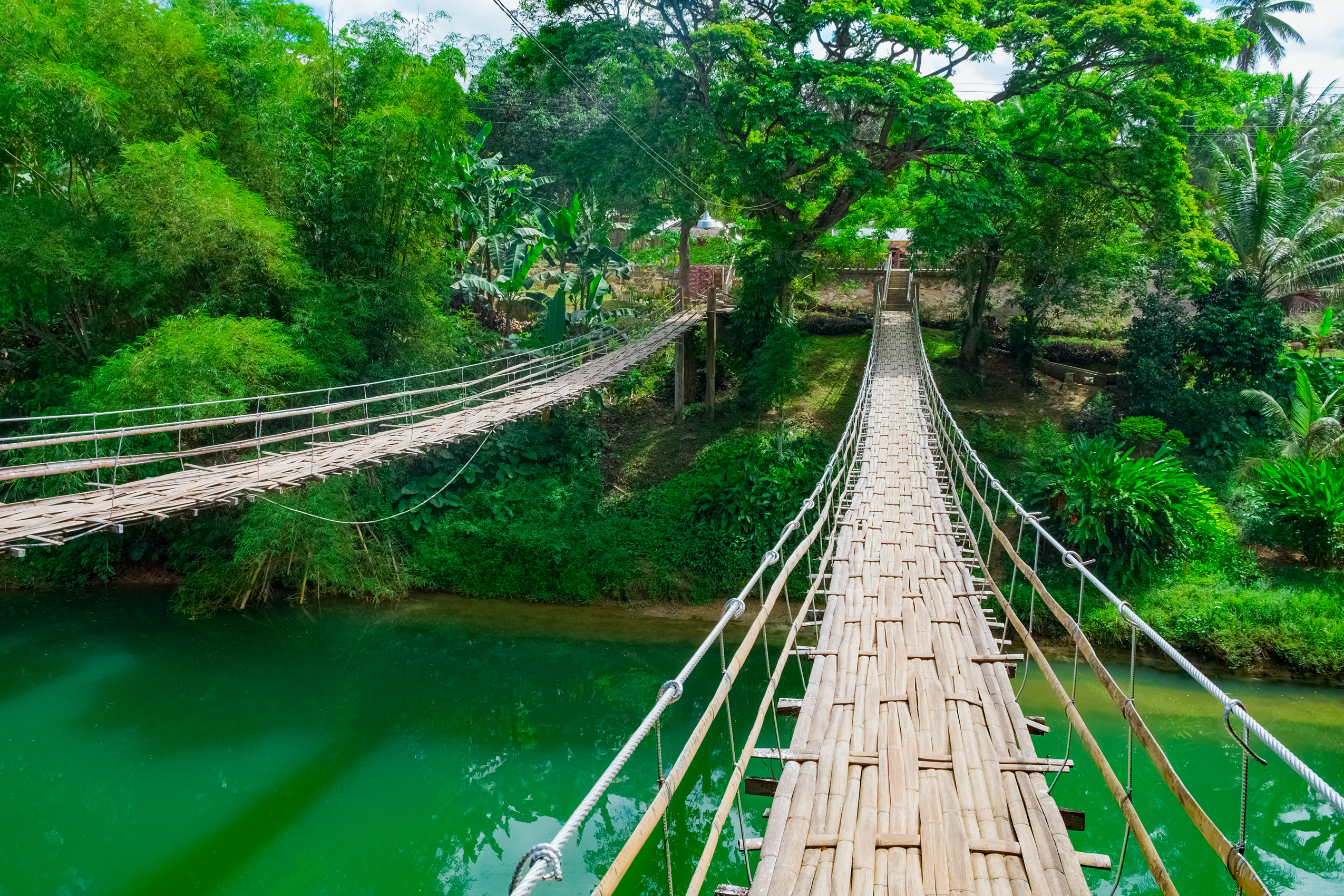 Tigbao swinging bridge in Bohol, Philippines