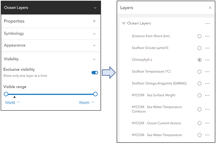 Exclusive layer visibility