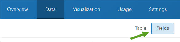 Configure feature layer fields