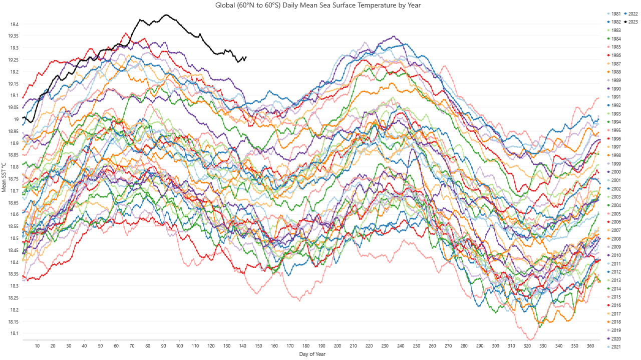 Yearly sea surface temperature (SST) trends from 1981 to 2023.