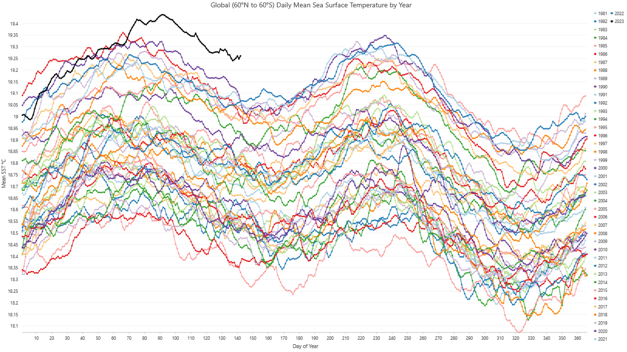 Yearly sea surface temperature (SST) trends from 1981 to 2023. Yearly sea surface temperature (SST) trends from 1981 to 2023.