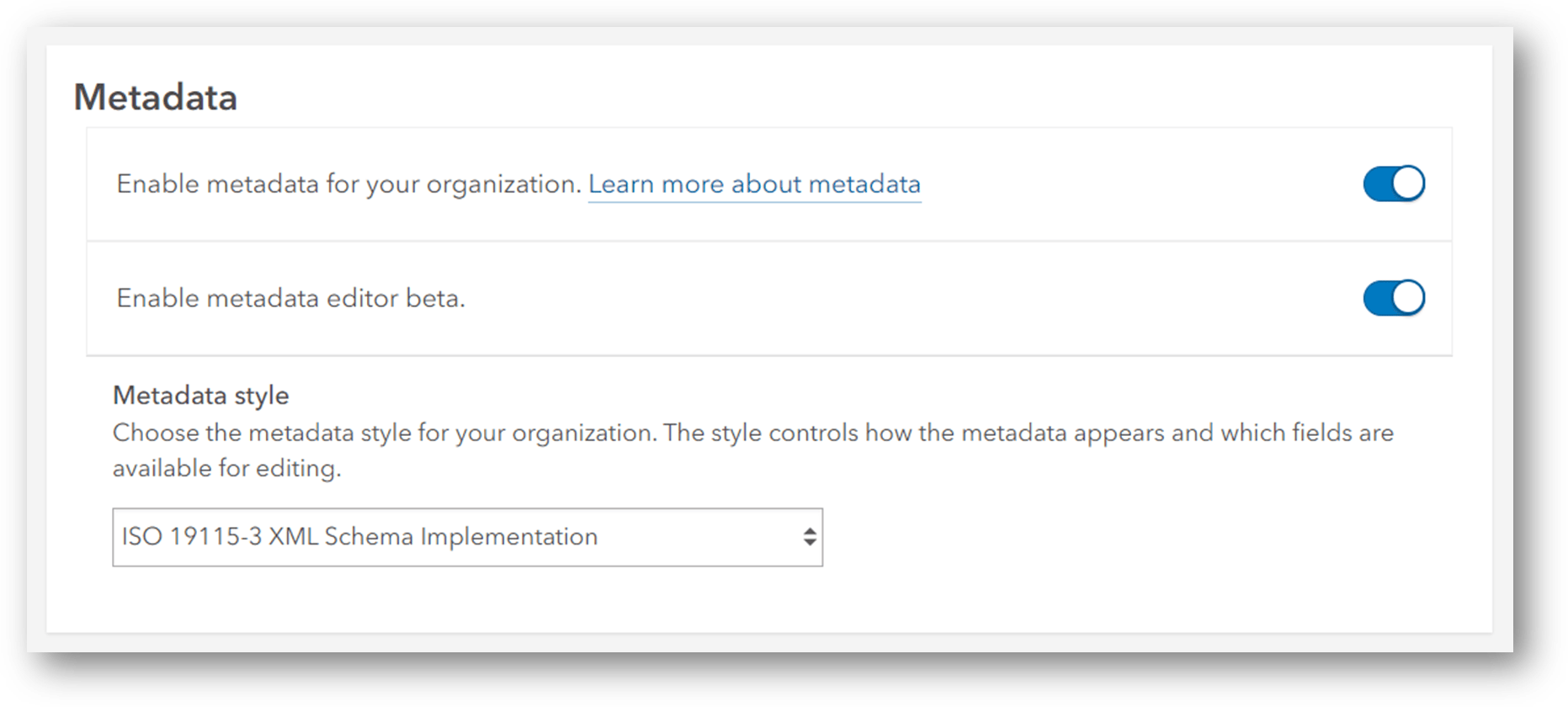 Metadata settings