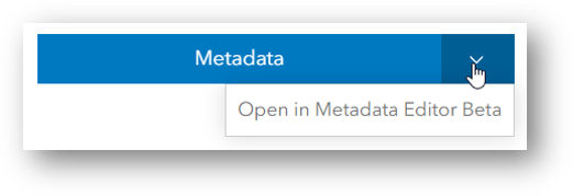 Metadata Editor Beta button