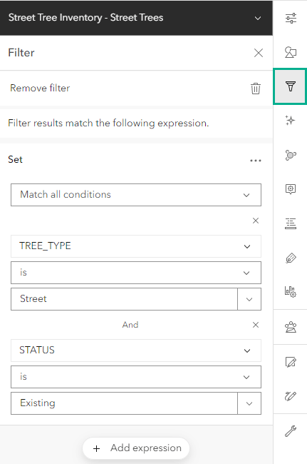 Filter pane of the Street Tree Inventory, where two filter expressions have been applied Filter pane of the Street Tree Inventory, where two filter expressions have been applied