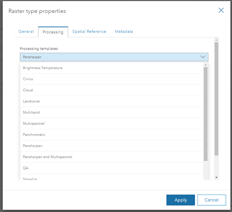 Processing template options in ArcGIS Image Online Processing template options in ArcGIS Image Online