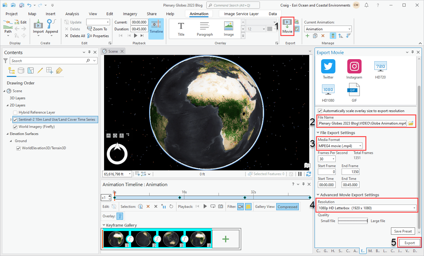 Export Animation Settings in Pro