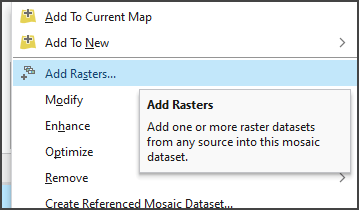 Add Rasters context menu