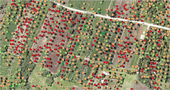 Example using deep learning and object detection to determine location and health of coconut palms