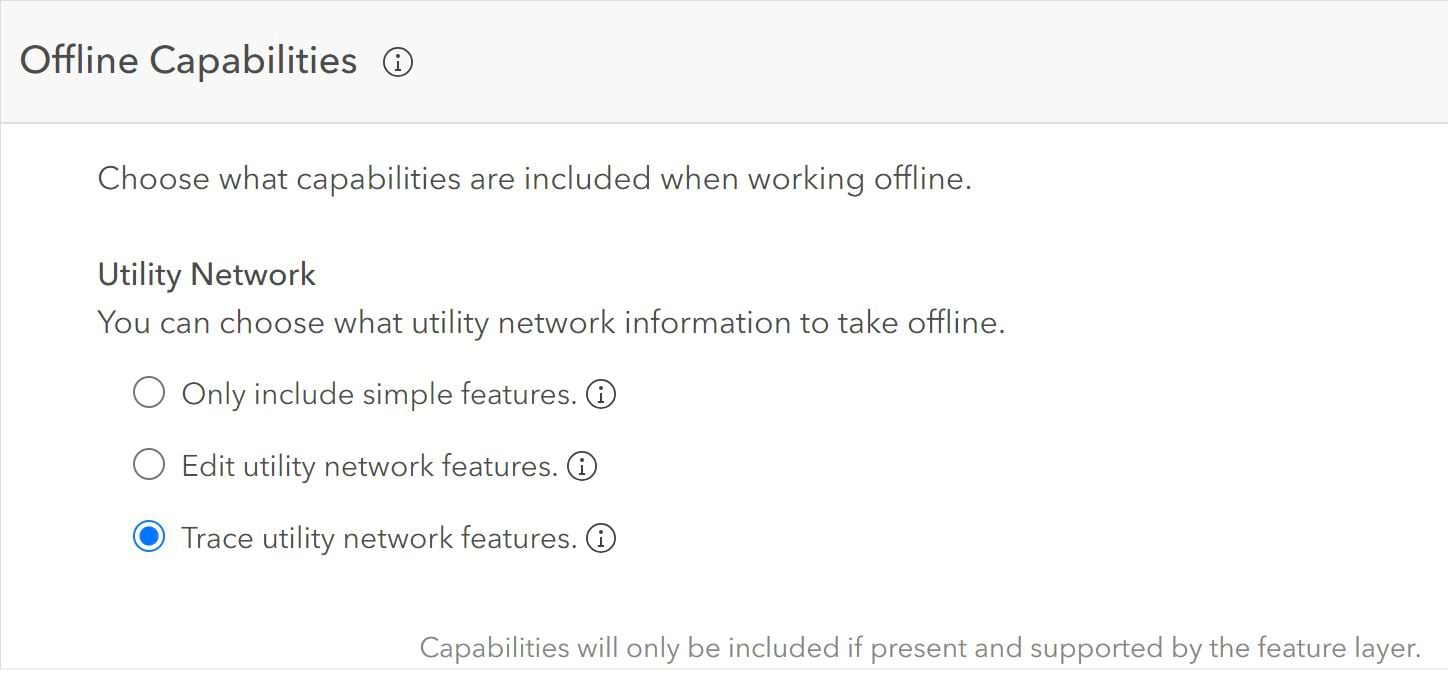 The web map portal item’s advanced offline capabilities with trace utility network features option selected.