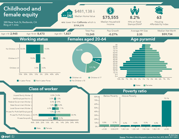 A standard infographic template in Business Analyst Web App