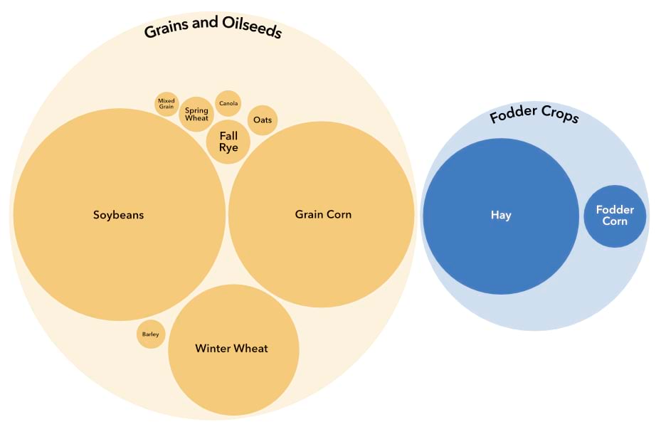 Packed circle visualization of current Ontario field crop production by crop. The chart consists of a large circle labelled "grains and oilseeds" and a second smaller circle labelled "fodder crops". Each of these circles contain circles labelled with various field crops that are packed within. These inner circles are proportional to the seeded acreage of the crop type. Within the grains and oilseeds circle are, in descending order, soybeans, grain corn, winter wheat, fall rye, spring wheat, oats, barley, canola, and mixed grain. In the fodder crops circle are, in descending order, hay and fodder corn.