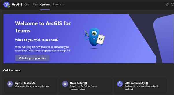 ArcGIS for Teams with Options tab visible