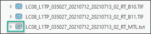 Raster product in Catalog pane Raster product in Catalog pane