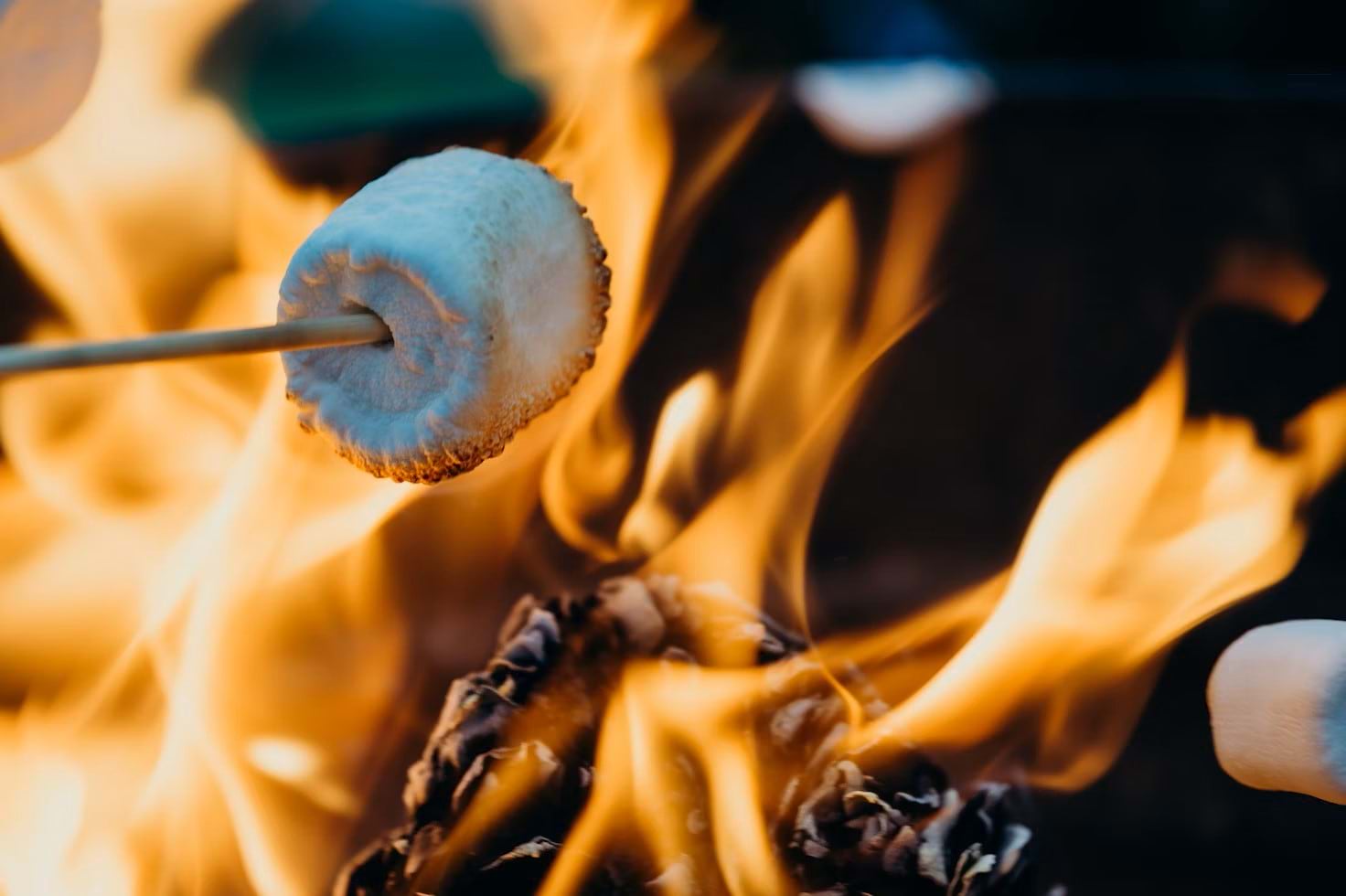 S'more roasting S'more roasting