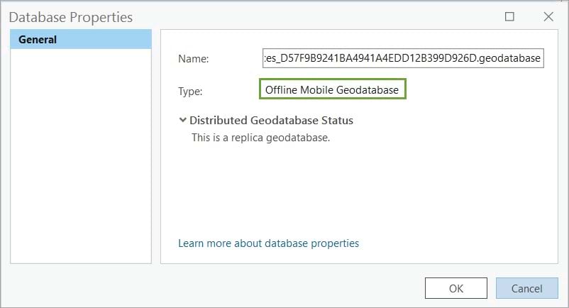 Mobile geodatabase properties