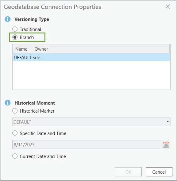 Set the geodatabase connection versioning type to branch