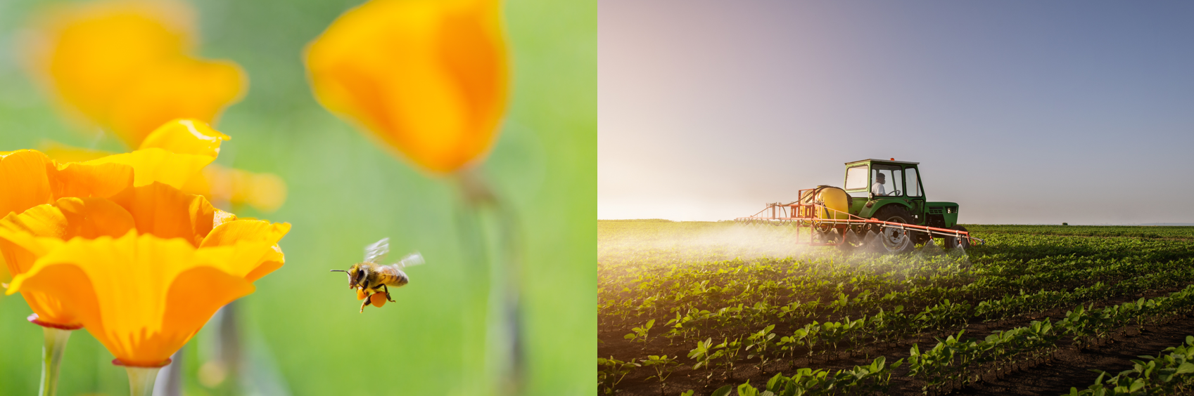 Images of a bee pollinating a flower and a tractor applying fertilizer to a field of crops.