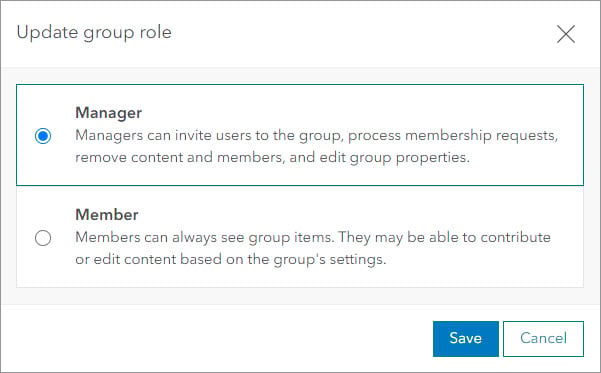 Update group role window with Manager option selected