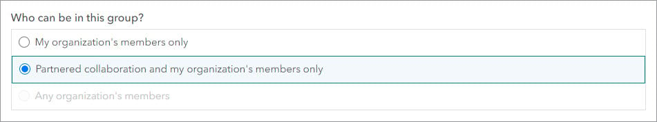 Who can be in this group setting with Partnered collaboration and my organization’s members only option selected