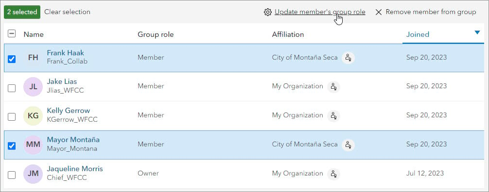 City of Montaña Seca collaboration coordinators selected and Update member’s group role option indicated