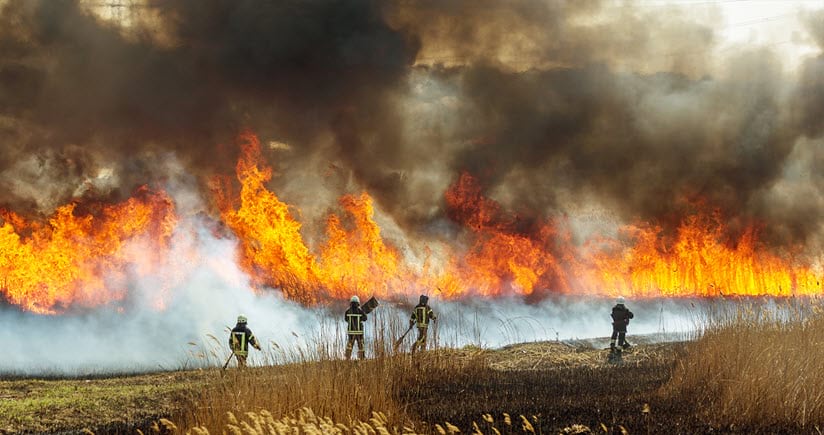 Firefighters at a wildfire site