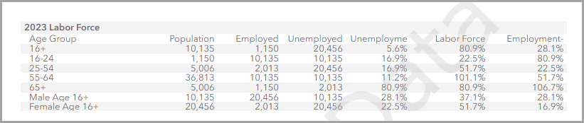 Example of classic report data in the tabular infographic formatting