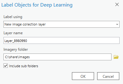 Dynamic image collection layer for labeling training data