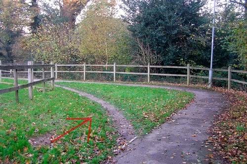 Desire line showing an informal footpath created by pedestrians taking a shortcut rather than remaining on the sidewalk