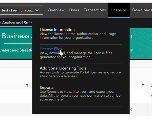 selecting 'license files' from Licensing menu.