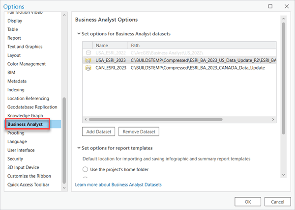 selecting Business Analyst from Options pane.