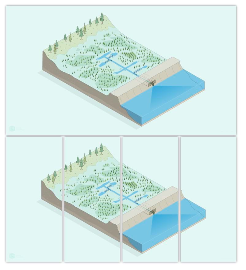 A collage of a wetland area from the Doing conservation on the ground story