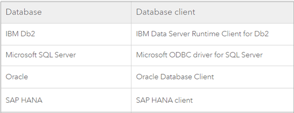 DBMS clients