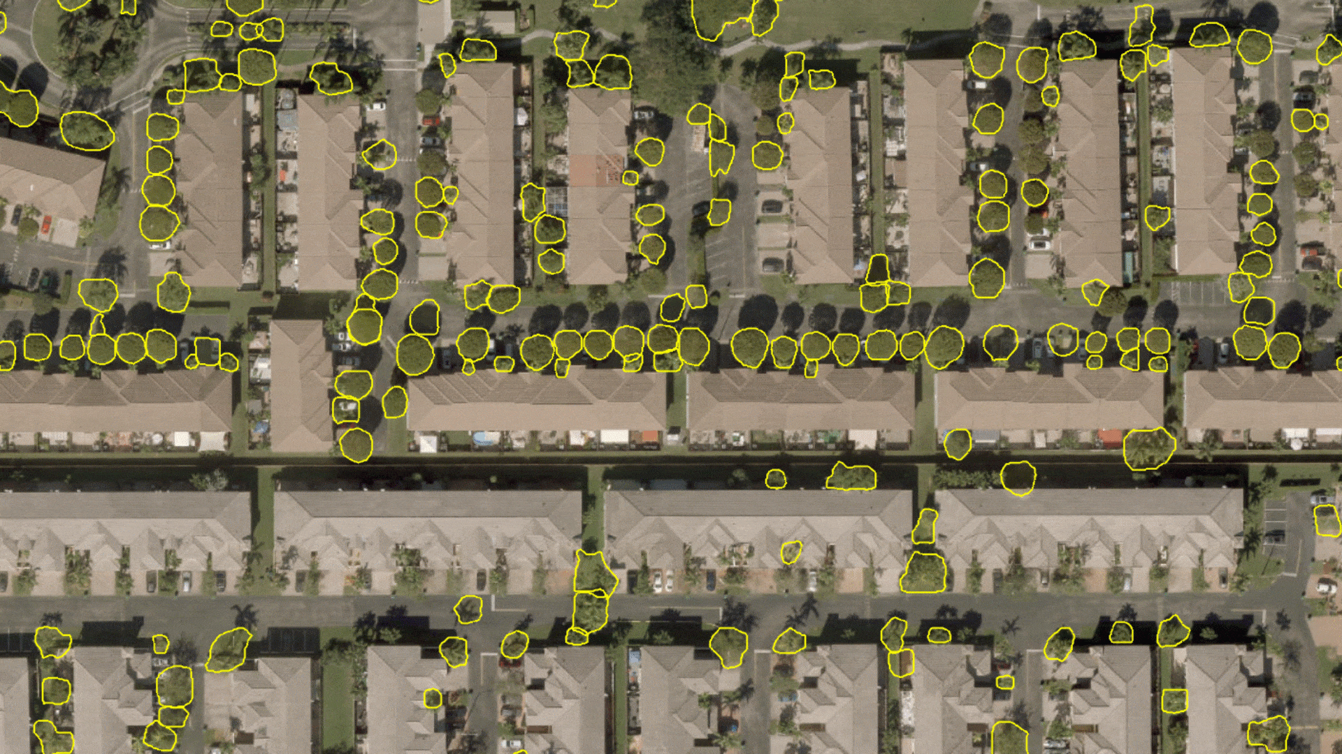 Tree Segmentation using High-Resolution (10-25 cm) Imagery Tree Segmentation using High-Resolution (10-25 cm) Imagery